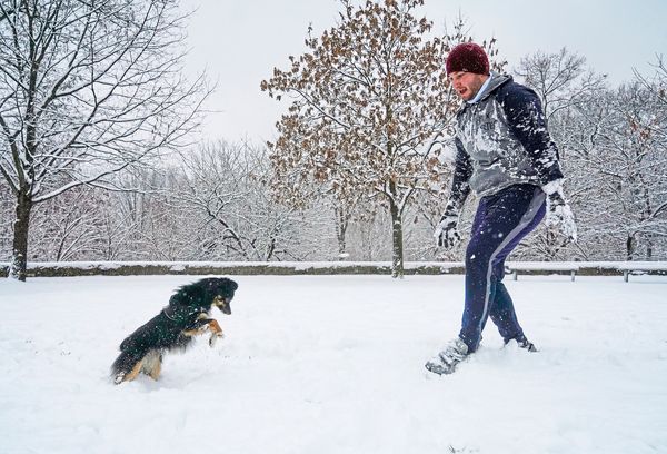 Snow Continues to Fall on Northeast US, with Vaccines in Tow