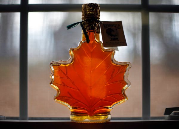 Maple Celebrations Return in Some States with Precautions