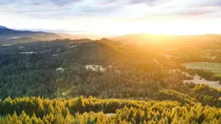 Queer and Cascading: Corvallis, Oregon’s Quiet LGBTQ+ Revival